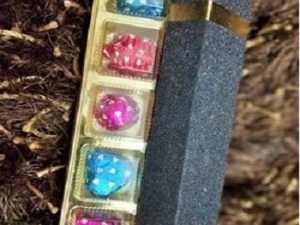 Black box with capacity 5 pcs